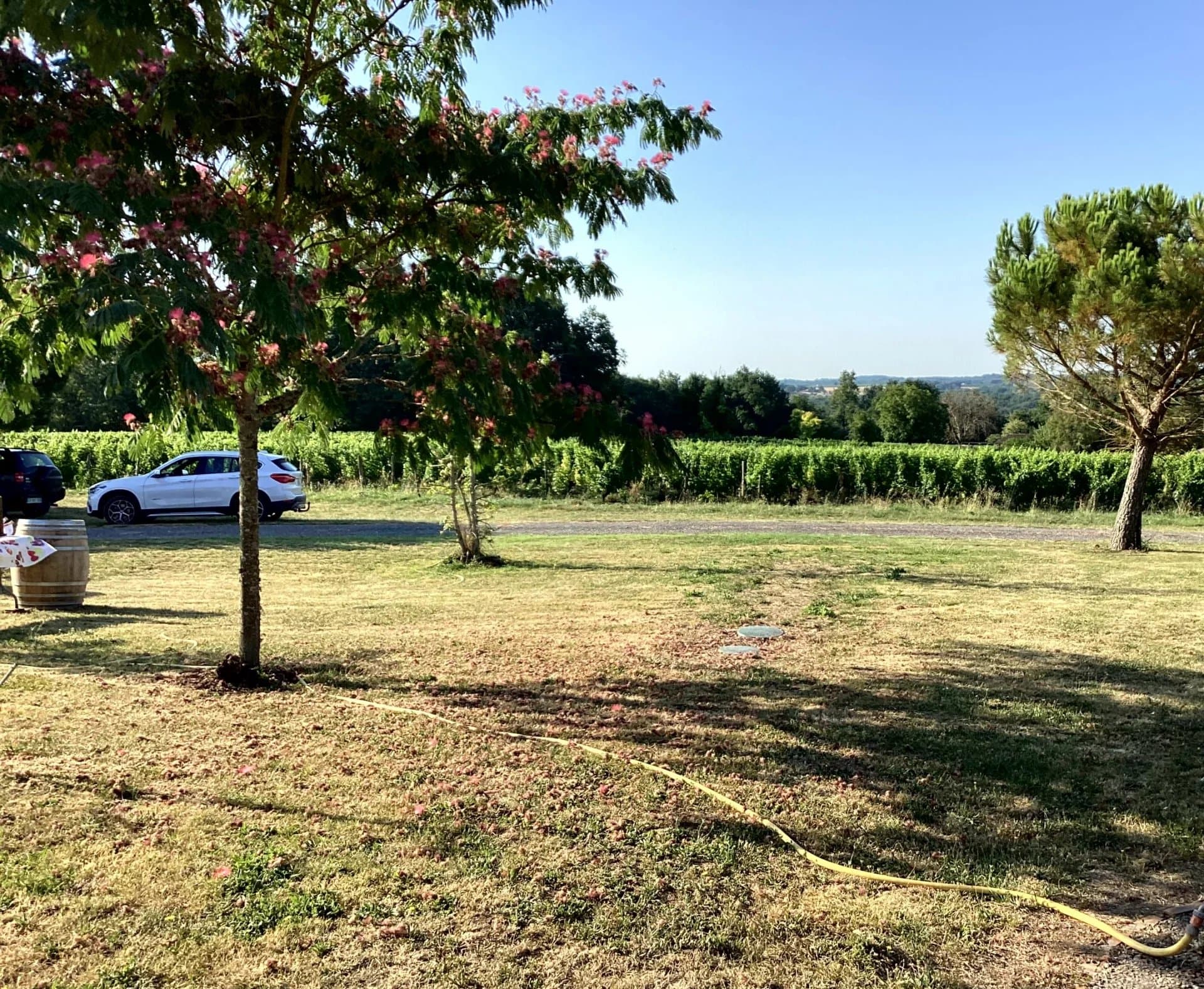 A vendre à 5 min de Monbazillac,  joli domaine viticole de 7ha97 en agriculture biologique