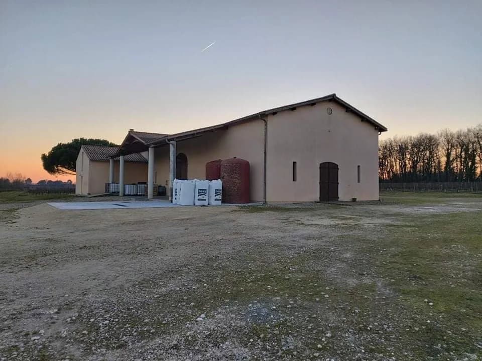 Vineyard with winery and brand