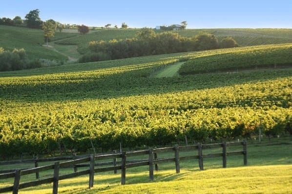 Propriété viticole d'environ 33 ha en Côtes de Bourg