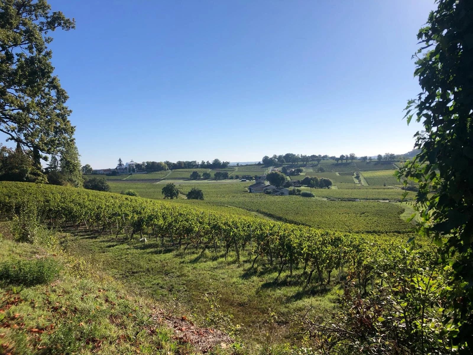 A vendre Propriété viticole familiale de 9,5 ha en Libournais