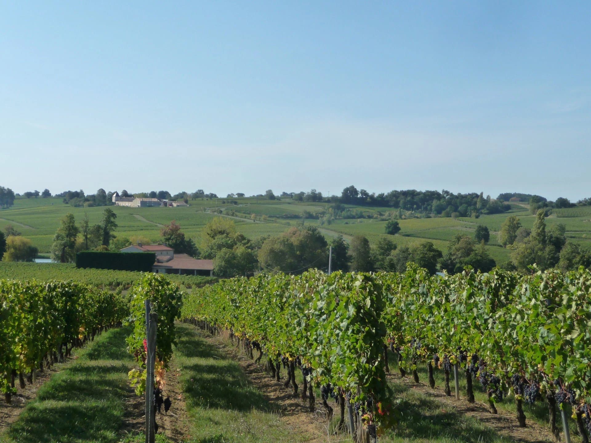 Belle Maison de Maître avec vignoble en AOC Montagne Saint-Emilion clé en main