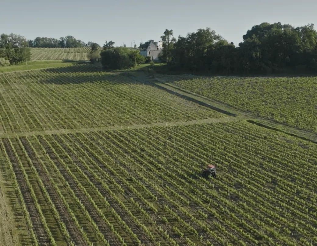 A vendre une très charmante propriété viticole aux portes de Bergerac