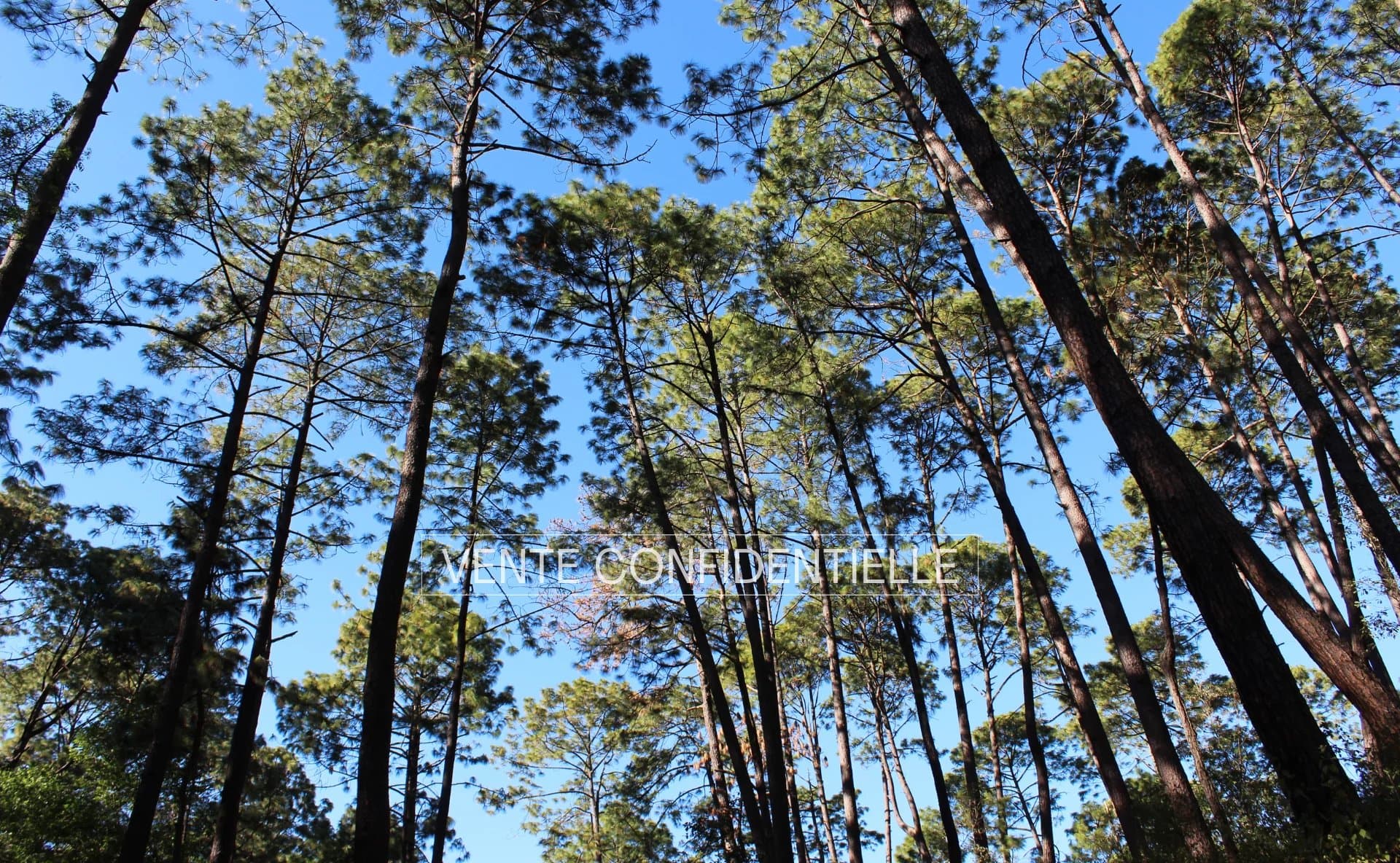 SALE BUILDING LAND ARCACHON PEREIRE