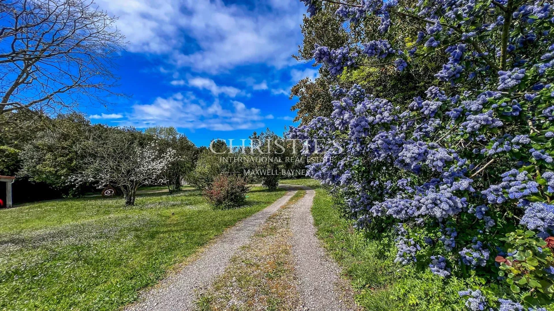 Tranquil and Serene: A Property Set in the Idyllic St Martin de Ré, Île de Ré