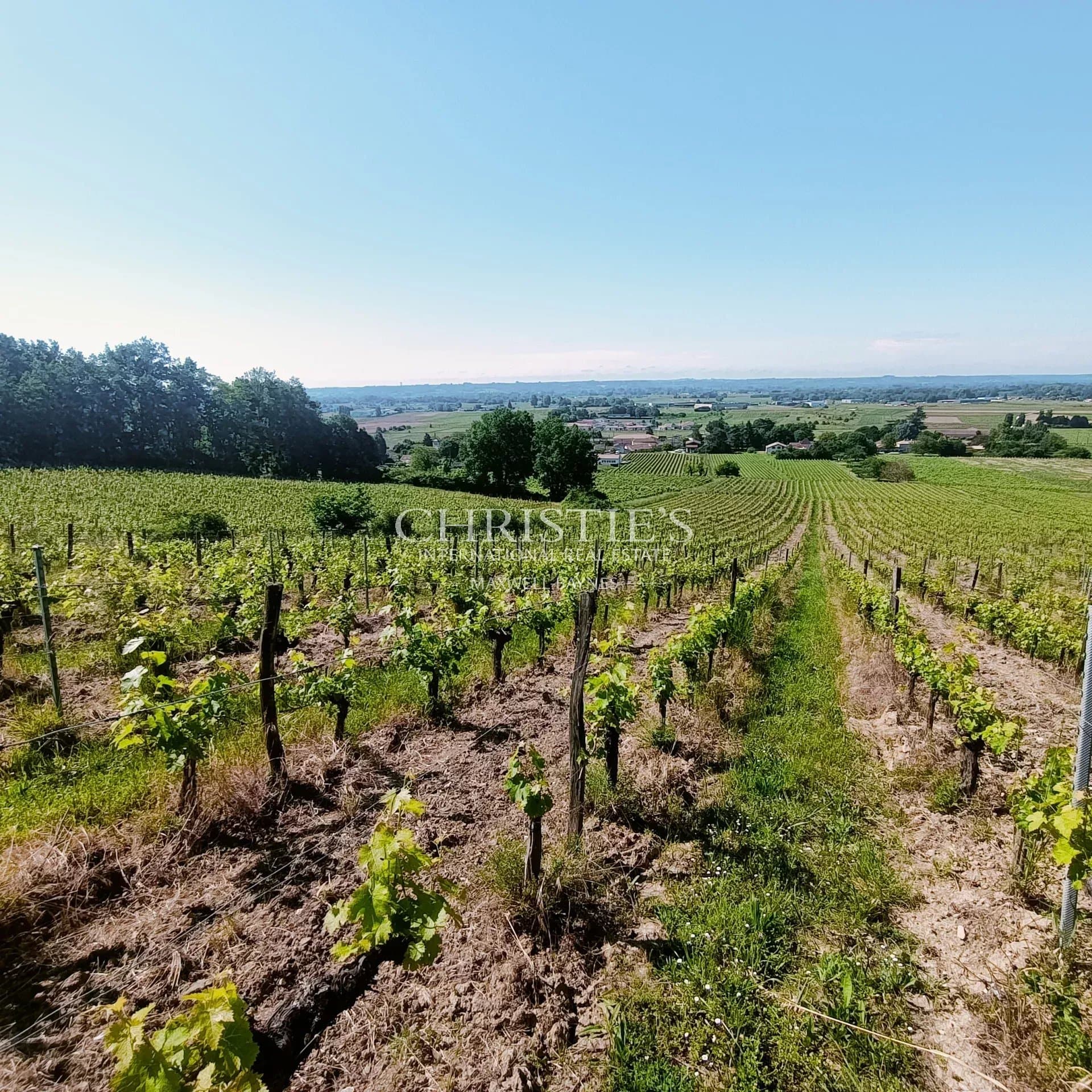 Terroir très qualitatif, Agriculture Biologique, 8 ha de vigne, 2 maisons, chai
