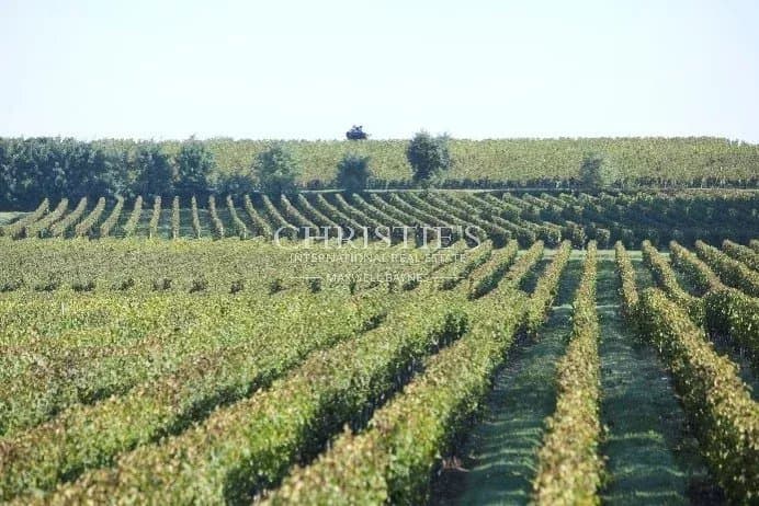 A vendre belle propriété viticole de 31,5 ha environ en Saint-Emilionnais