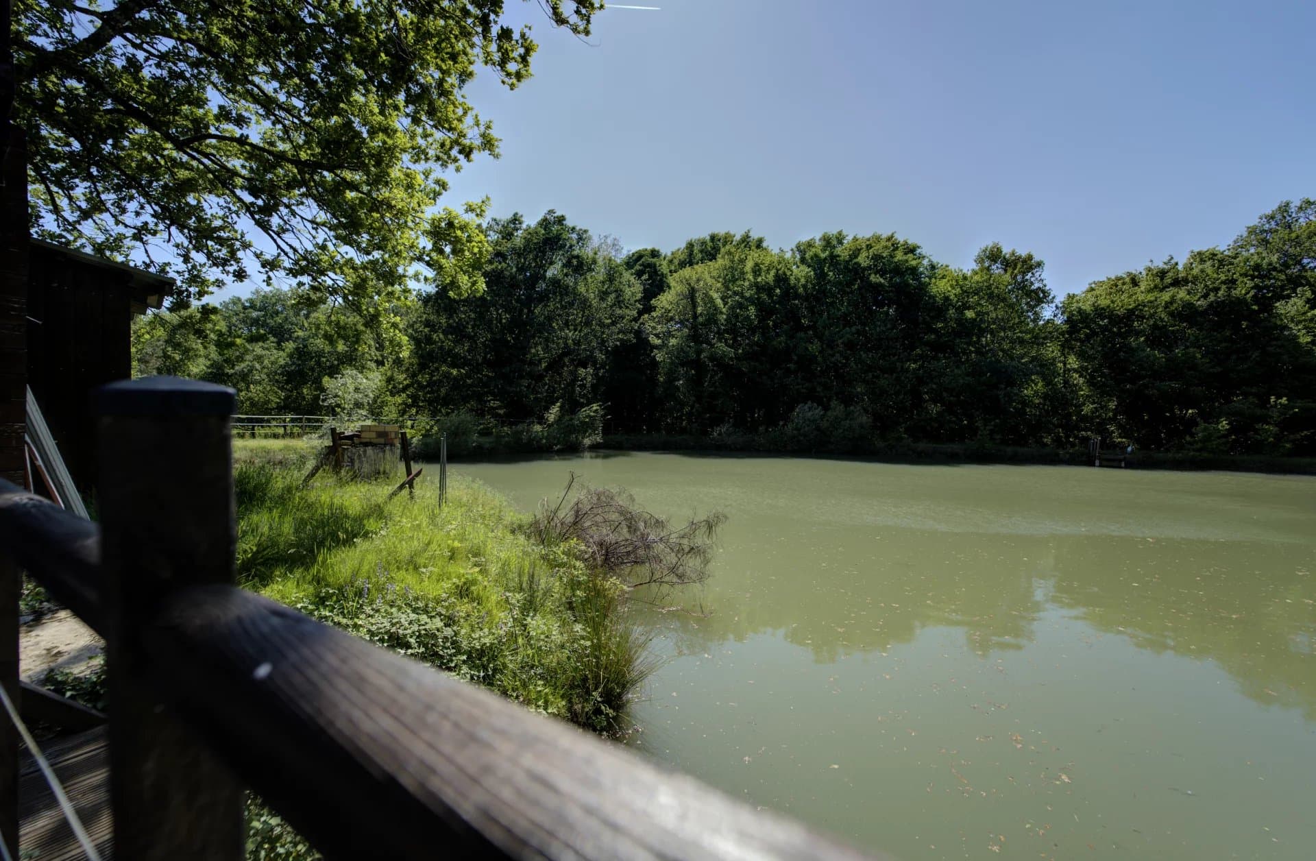 Un coin de paradis en Périgord avec île, étang et boxs pour chevaux