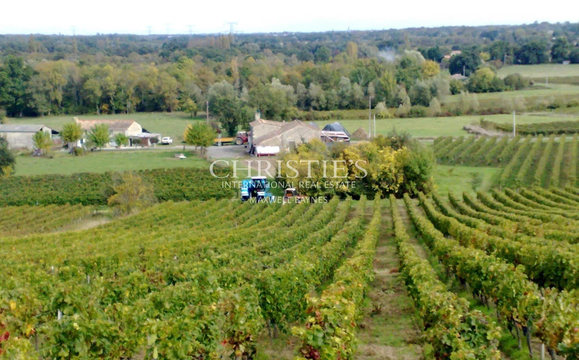 Vignoble familial à vendre : 13,5 hectares au Cœur du Libournais
