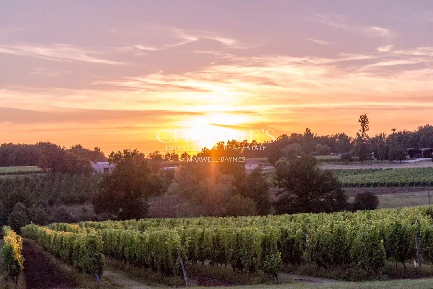 Magnifique domaine viticole - Côtes de Duras