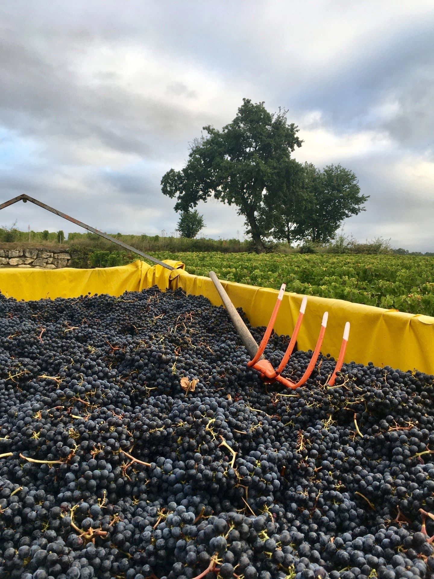 AOC Lalande de Pomerol vineyard estate