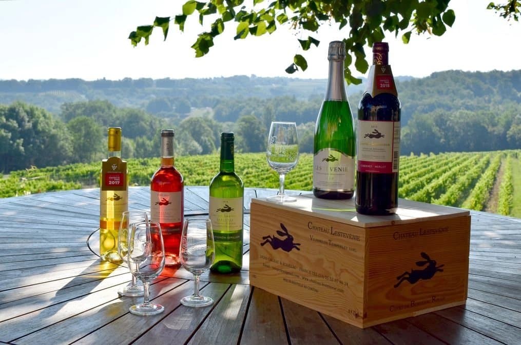 Country House + Successful Hobby Vineyard