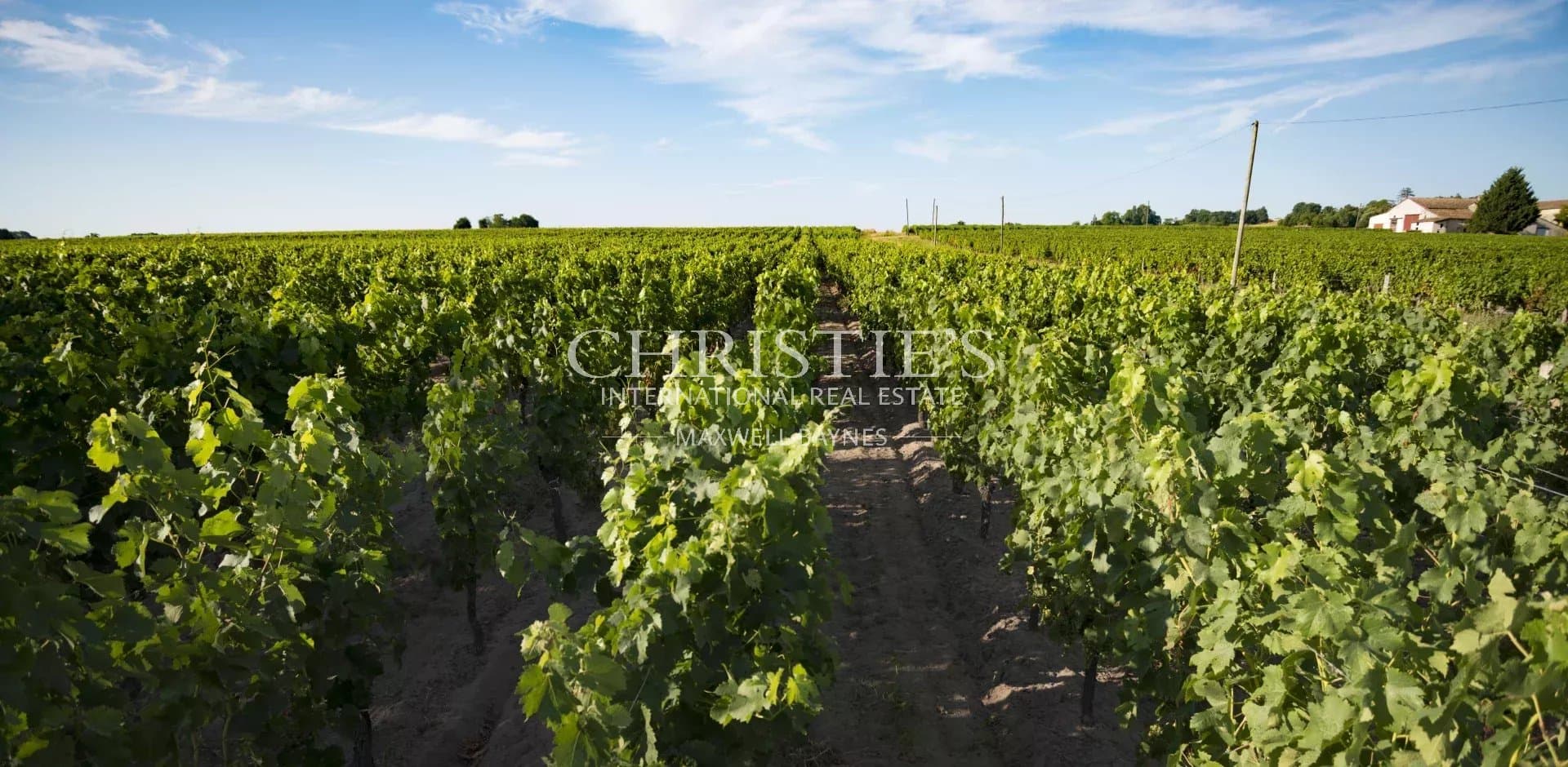 Very well-located Bordeaux vineyard estate