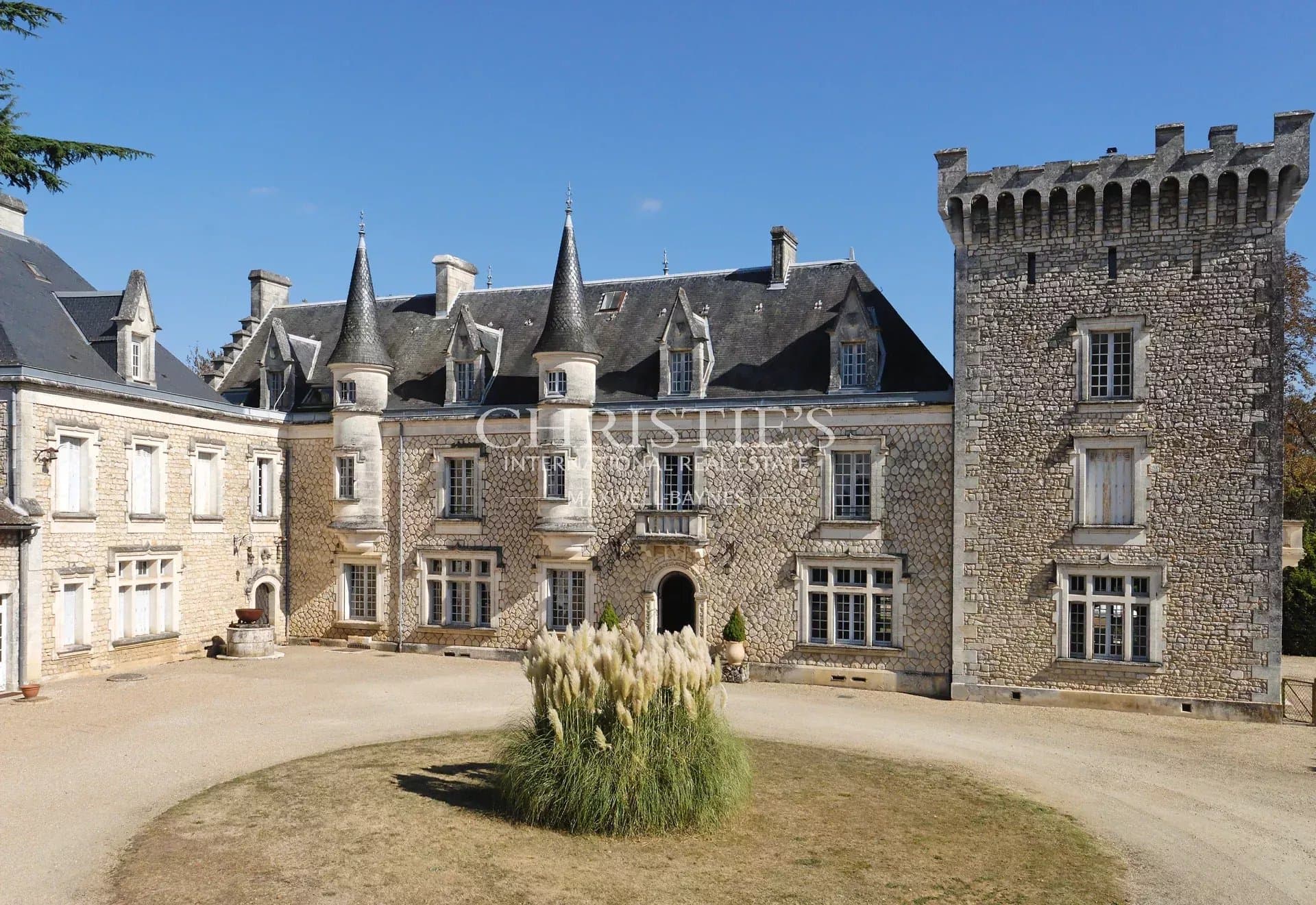 Magnificent castle near Angoulême