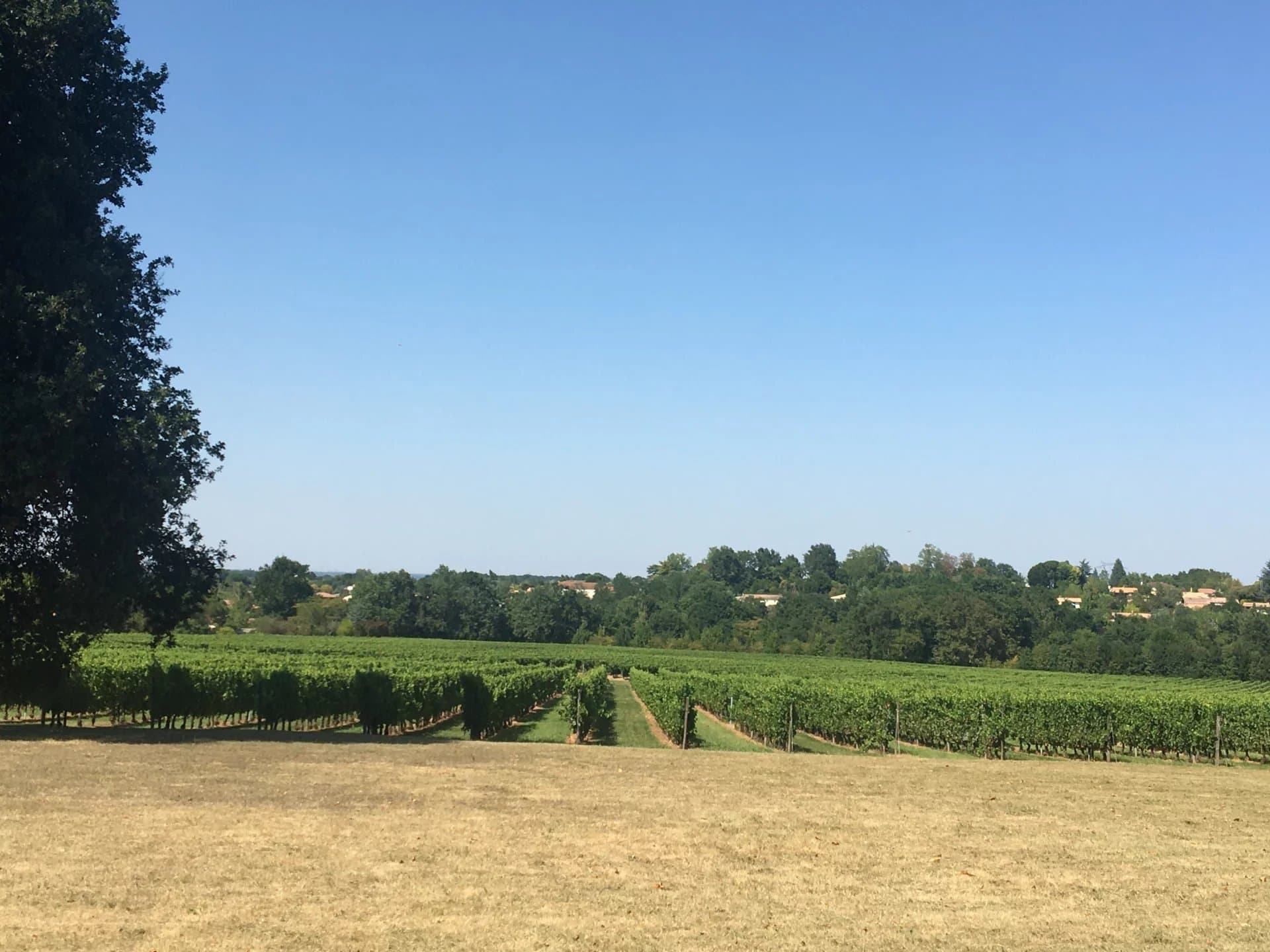 A vendre propriété viticole d'agrément de 12 ha environ près de Bordeaux
