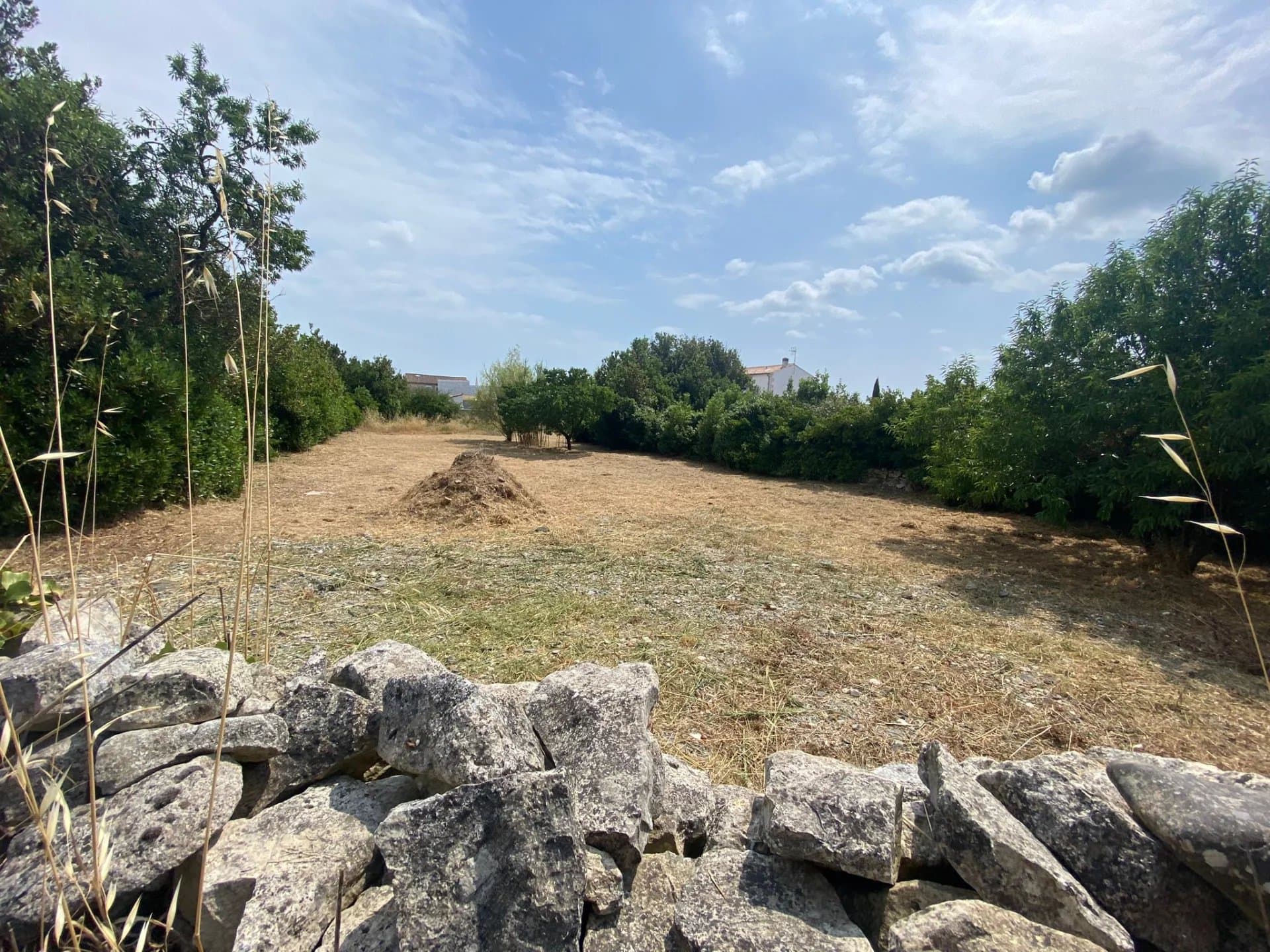 Terrain constructible d'une maison de 175m2 avec piscine