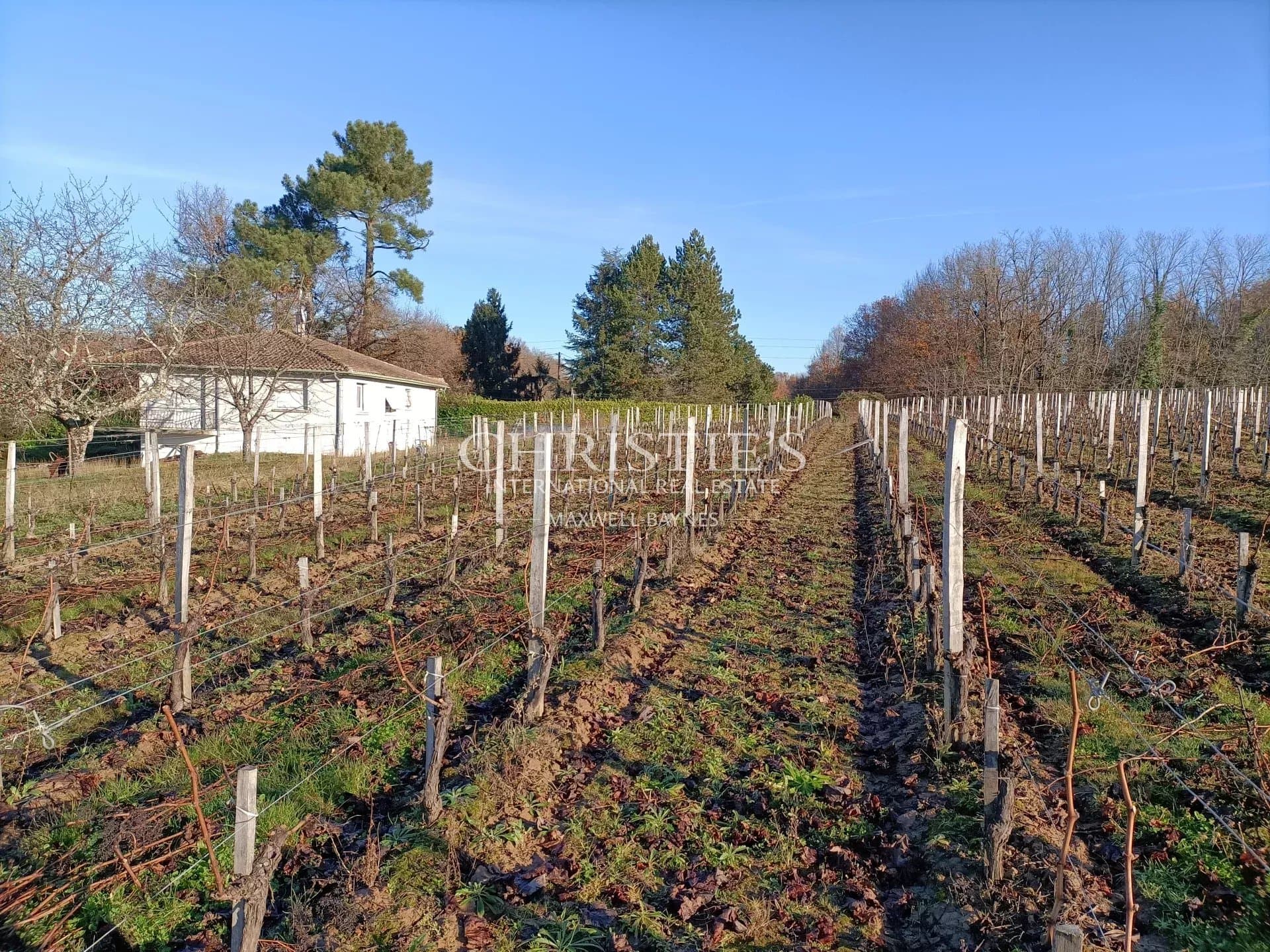 Petite propriété viticole de 6.86 hectares avec bâtiments d'exploitation en excellent état à vendre