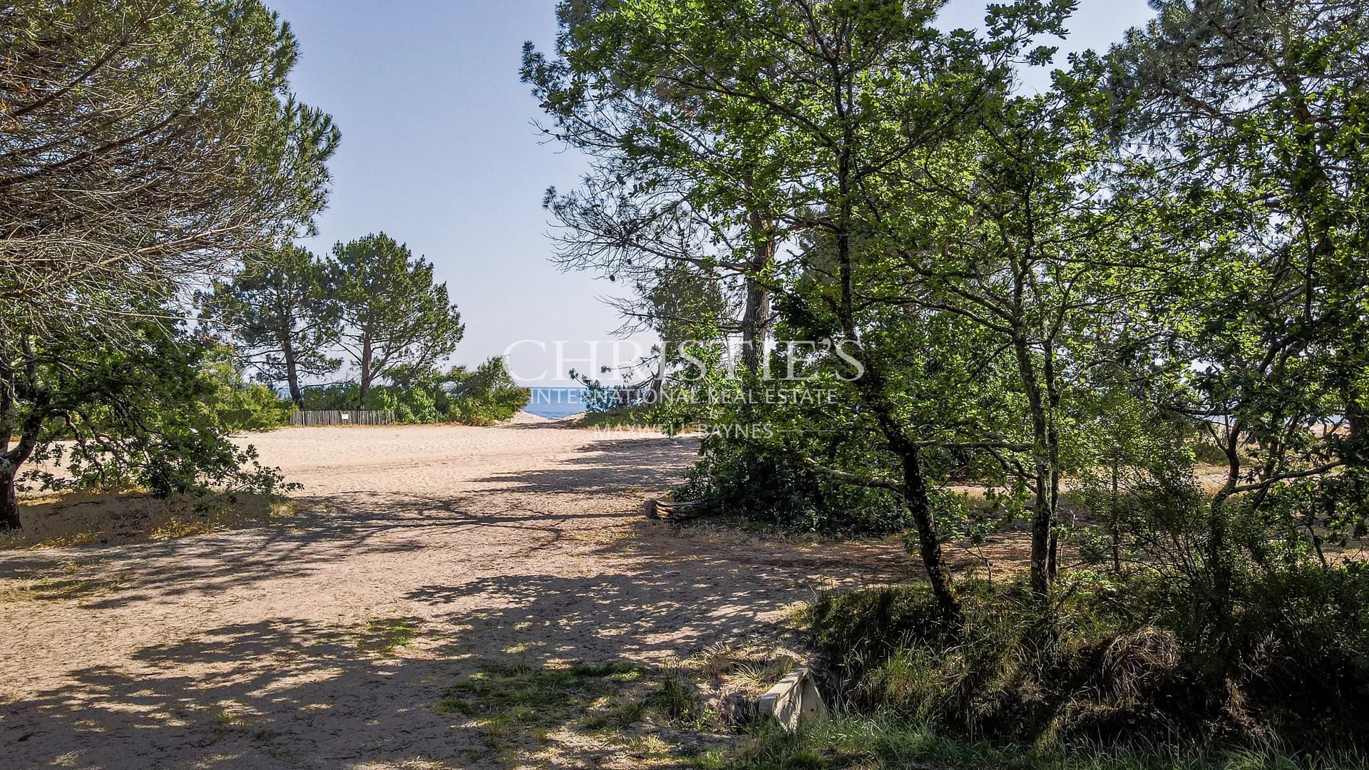 1ÈRE LIGNE À ARES : RARE ET VUE AU TRAVERS DES PINS