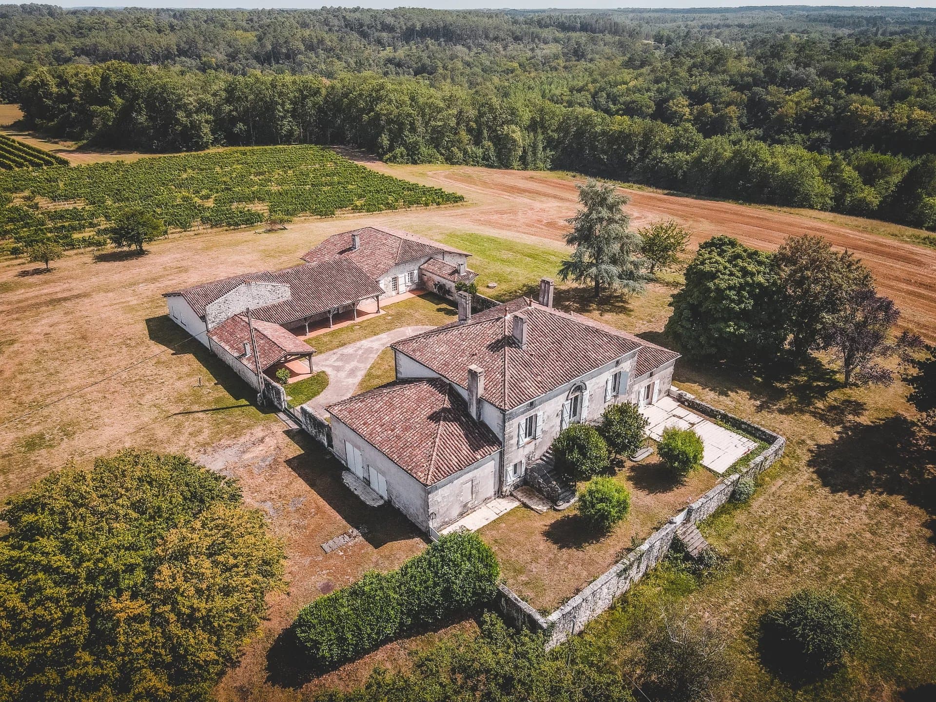 Magnifique domaine à vendre sur 74 hectares de bois, parc et vignobles à moins d'une heure de Bordeaux
