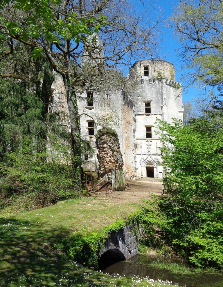 dordogne chateau for sale