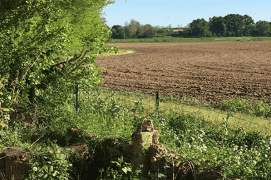 La vie en milieu rural en Dordogne pendant le confinement La vie en milieu rural en Dordogne pendant le confinement