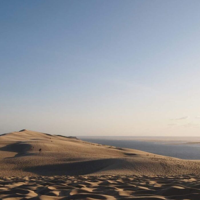 Quelles sont les spécialités culinaires bordelaises ?