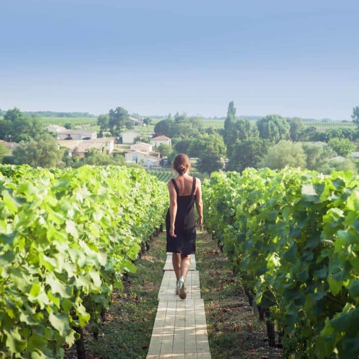 Growth Trend: Bordeaux Vineyard Tourism