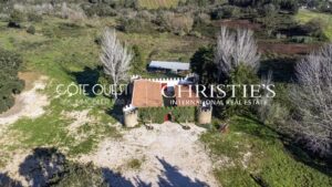 Magnificent estate, with 115 ha, in Torres Vedras