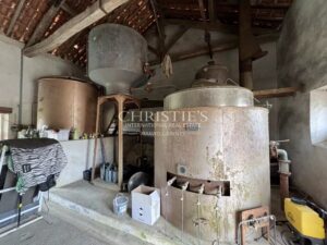 A vendre Château avec domaine et 74 hectares