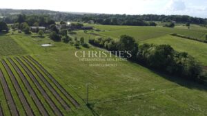 For sale organic vineyard in AOC Pécharmant and Rosette