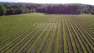 For sale organic vineyard in AOC Pécharmant and Rosette