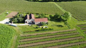 For sale organic vineyard in AOC Pécharmant and Rosette