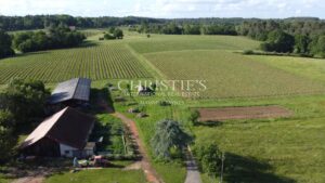 For sale organic vineyard in AOC Pécharmant and Rosette