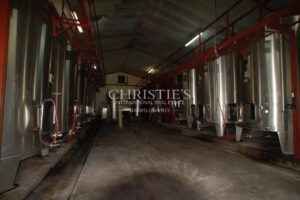 For sale organic vineyard in AOC Pécharmant and Rosette