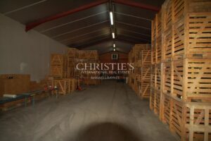For sale organic vineyard in AOC Pécharmant and Rosette