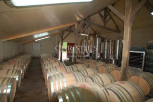 For sale organic vineyard in AOC Pécharmant and Rosette