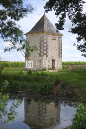 Magnifique Logis du 16ème siècle sur 10 ha au cœur de la campagne pittoresque entre Cognac et Bordeaux.