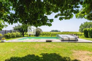 Large stone house with pool in Saint-Emilion