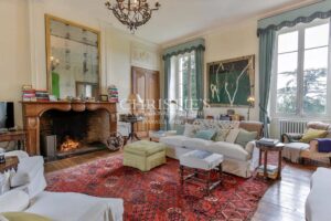 Salon Parquet Lustre Cheminée