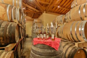 Play room Carpet