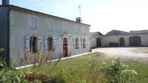 For sale organic vineyard of 15 ha – very well maintained with great terroir