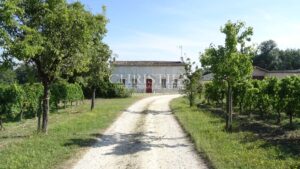 For sale organic vineyard of 15 ha – very well maintained with great terroir
