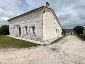 For sale organic vineyard of 15 ha – very well maintained with great terroir