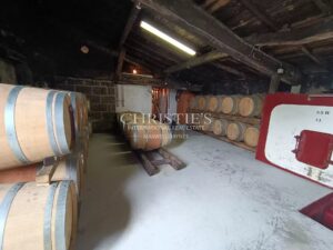 For sale organic vineyard of 15 ha – very well maintained with great terroir