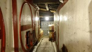 For sale organic vineyard of 15 ha – very well maintained with great terroir