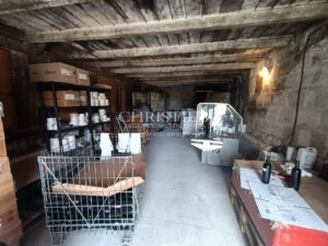 For sale organic vineyard of 15 ha – very well maintained with great terroir