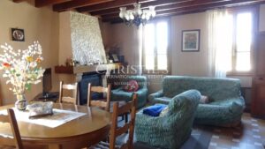 For sale organic vineyard of 15 ha – very well maintained with great terroir