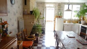 For sale organic vineyard of 15 ha – very well maintained with great terroir