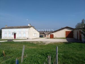 For sale organic vineyard of 15 ha – very well maintained with great terroir