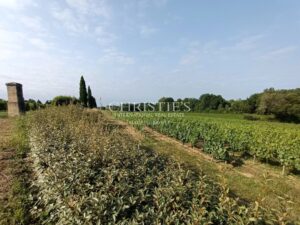 Small vineyard estate for sale of 6.86 ha with farm buildings in excellent condition