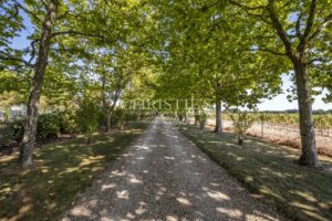 Superbe propriété de charme située entre Angoulême et Cognac